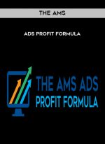 The AMS - Ads Profit Formula download
