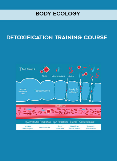 Body Ecology - Detoxification Training Course download